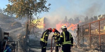 Alertă în Grecia, din cauza incendiilor. Pompierii români se luptă de 14 ore cu flăcările