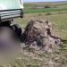 Bărbat decedat după ce a fost surprins într-o balotieră