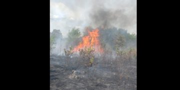 Incendiu de vegetație la Tăuții de Sus. 30 de persoane intervin pentru lichidarea unui incendiu
