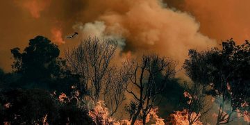 Incendiu de vegetație la Tăuții de Sus. Pompierii luptă cu flăcările