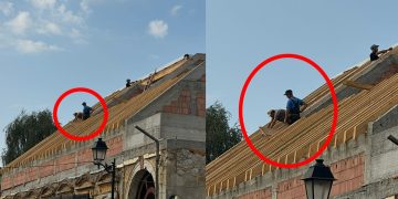 Murim și nu știm de ce: Orice minune durează 10 zile