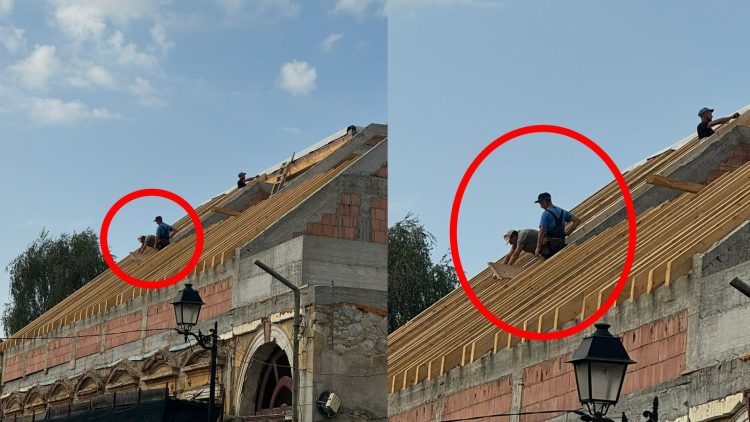 Murim și nu știm de ce: Orice minune durează 10 zile