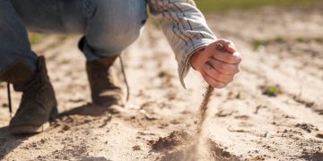 Probleme mari cu seceta în Maramureș