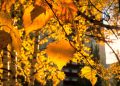 Aflăm de la meteorologi: prognoza pentru următoarele 4 săptămâni