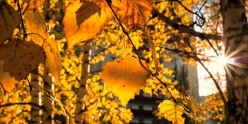 Aflăm de la meteorologi: prognoza pentru următoarele 4 săptămâni