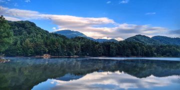 Cadavru descoperit pe malul râului Tisa