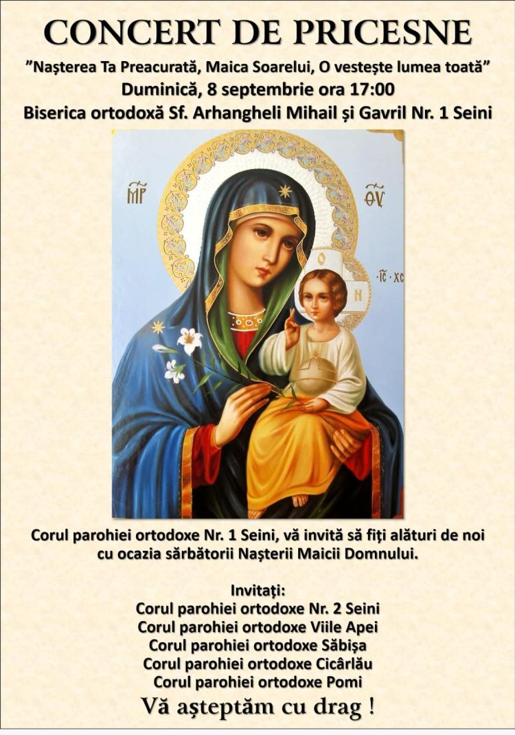 Concert de pricesne la Seini