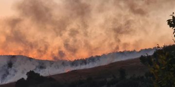 ARDE MARAMUREȘUL, LA PROPRIU! Incendiu în zona Runcu