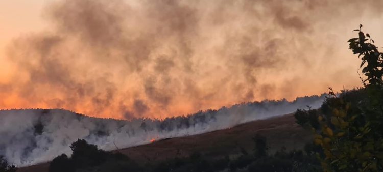 ARDE MARAMUREȘUL, LA PROPRIU! Incendiu în zona Runcu