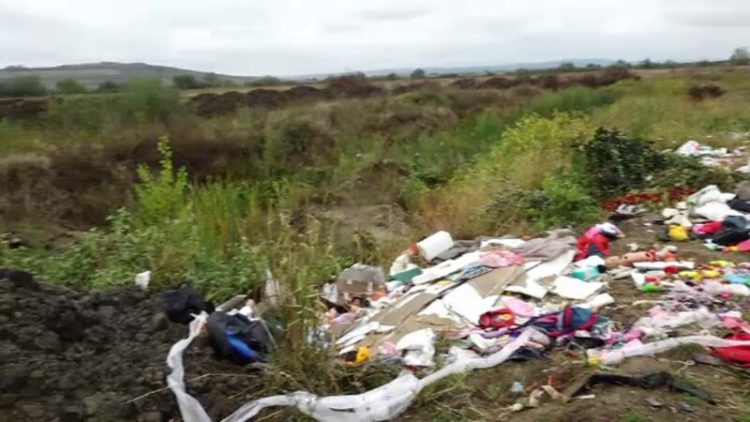 Marele circar care se vrea deputat PSD de Maramureș, transformă pășunea în groapă de gunoi