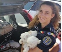 Un băimărean a fost depistat când încerca să vândă în târg patru cățeluși care nu aveau carnete de sănătate