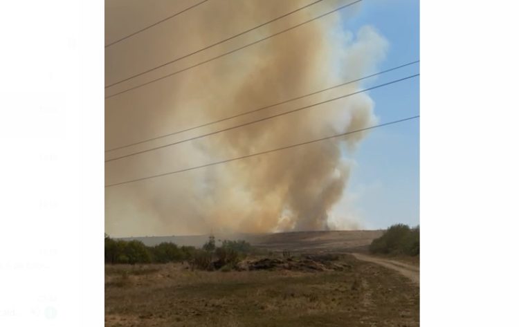 Maramureșul se pârjolește. Incendiu semnificativ lângă Baia Mare. VIDEO