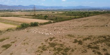 Nou incendiu de vegetație. În livada din Ardusat