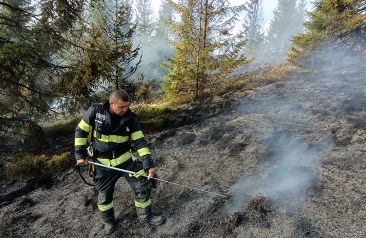 Încă o zi, încă un incendiu. A luat foc vegetația uscată în zona lacului Măgura