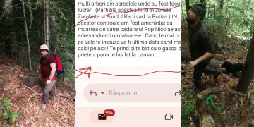 Mafia pădurilor din Țara Lăpușului! Dezvăluiri uimitoare: „Te împușc!”; ”Mi-a cerut 10% ca să fie bine!”