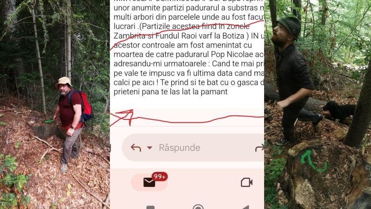 Mafia pădurilor din Țara Lăpușului! Dezvăluiri uimitoare: „Te împușc!”; ”Mi-a cerut 10% ca să fie bine!”