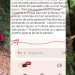 Mafia pădurilor din Țara Lăpușului! Dezvăluiri uimitoare: „Te împușc!”; ”Mi-a cerut 10% ca să fie bine!”