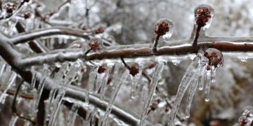 Ninsori și ploi înghețate în toată țara în această toamnă, conform Accuweather