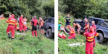 Tânăr din Ieud, atacat de o ursoaică