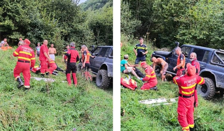 Tânăr din Ieud, atacat de o ursoaică