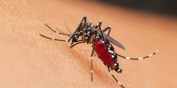 INSP anunță 73 de cazuri de infecţie cu virusul West Nile și 9 decese. Recomandări pentru populație