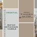 Expoziția Retrospectivă Vegetal la Galeria de Arta UAP