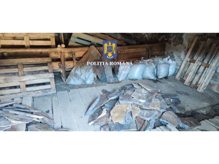 Opt persoane prinse în flagrant delict de polițiști, în timp ce desfășurau activități infracționale în fondul forestier – rezervație naturală