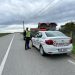 Razii în sistem integrat în Borșa, Șomcuta Mare și Ulmeni pentru menținerea climatului de ordine și siguranță publică