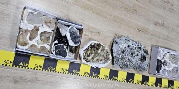 Flori de mină în valoare de 20.000 de euro, descoperite de polițiștii de frontieră