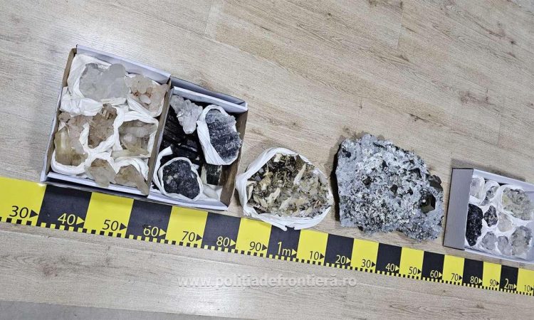 Flori de mină în valoare de 20.000 de euro, descoperite de polițiștii de frontieră