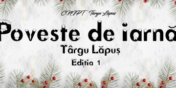 Târgul de Crăciun în Târgu Lăpuș