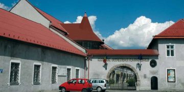 Acces gratuit la Muzeul Judeţean de Istorie în acest weekend, la expoziţii şi filme cu teme istorice