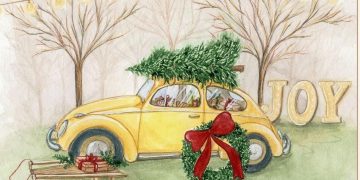 Sunteți invitați la ședințe foto în zona Baia Mare, într-un decor deosebit