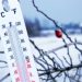 Decembrie începe cu temperaturi maxime de 7°C. Cum va fi vremea în Maramureș în următoarele două săptămâni