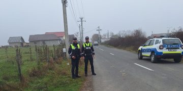 Exemplare canine care prezentau intervenții chirurgicale identificate de polițiștii din Groși