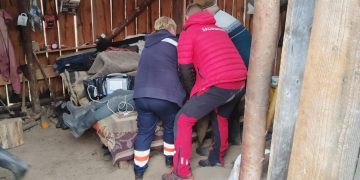 Cioban aflat în stare comatoasă convulsivă, coborât de salvatorii montani de la o stână din zona Săliștea de Sus