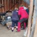 Cioban aflat în stare comatoasă convulsivă, coborât de salvatorii montani de la o stână din zona Săliștea de Sus