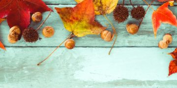 Meteorologii anunță o vreme capricioasă pentru această lună