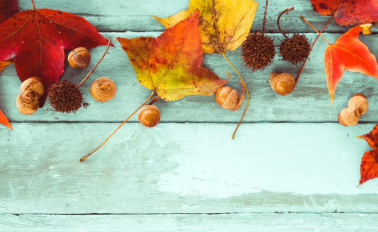 Meteorologii anunță o vreme capricioasă pentru această lună