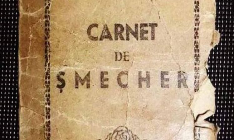 Șmecherul, oportunistul și licheaua…