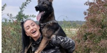 Abandonarea animalelor constituie contravenție