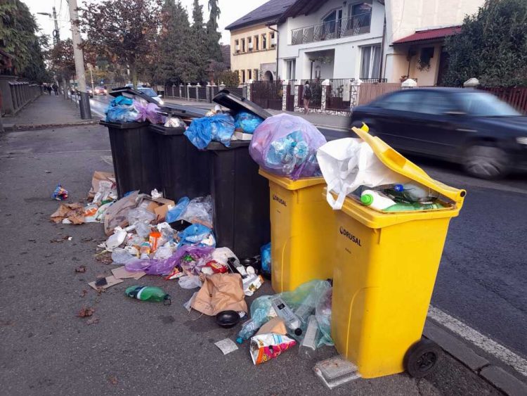 În 2025 am putea plăti 20 lei/persoană pentru taxa de salubrizare în Baia Mare