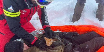 Ucraineanul căzut într-o răpă pe munte a fost salvat; pisicuţa aflată cu el l-a ţinut în viaţă