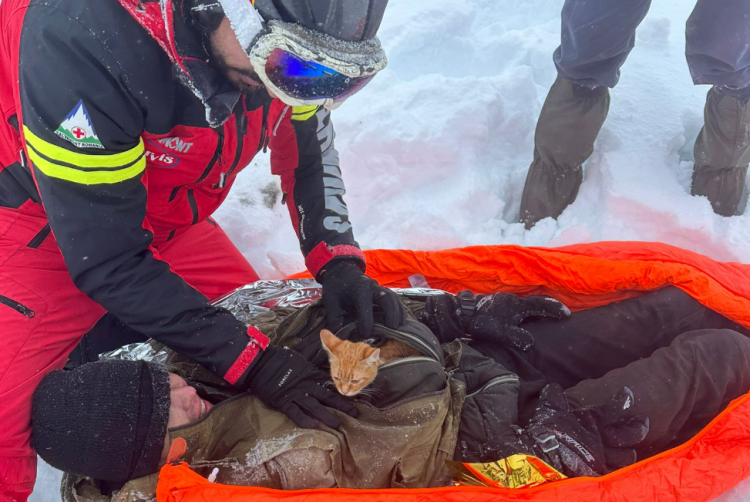 Ucraineanul căzut într-o răpă pe munte a fost salvat; pisicuţa aflată cu el l-a ţinut în viaţă