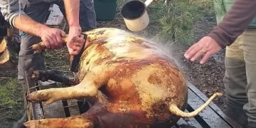 20 decembrie, ziua de Ignat. Obiceiuri și superstiții