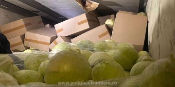 Captură record la frontieră. Zeci de mii de pachete cu țigări, în valoare de peste 1,3 milioane lei, descoperite într-un camion încărcat cu varză