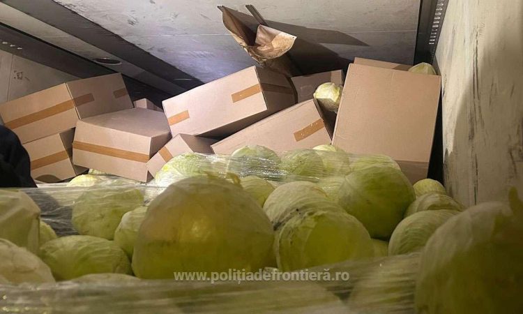 Captură record la frontieră. Zeci de mii de pachete cu țigări, în valoare de peste 1,3 milioane lei, descoperite într-un camion încărcat cu varză