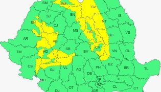 COD GALBEN DE POLEI în Maramureș
