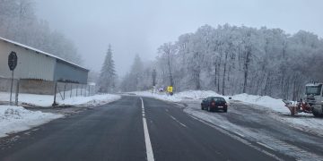 Cod GALBEN în Maramureș