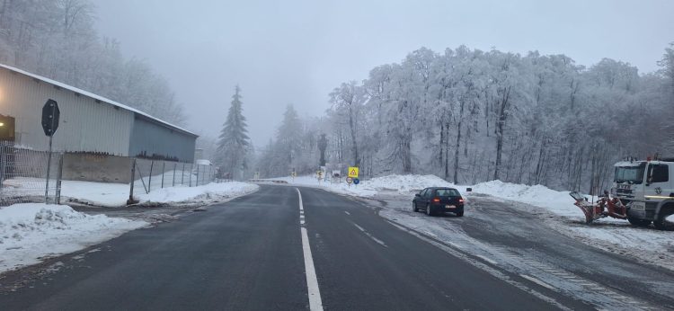Cod GALBEN în Maramureș